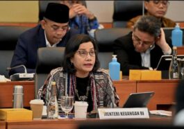 Indonesia Surplus Keseimbangan Primer Pertama Kali Sejak 2012, Sri Mulyani: Pertumbuhan Pajak Faktornya!
