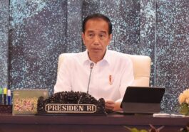 Jokowi: Investasi yang Masuk di IKN