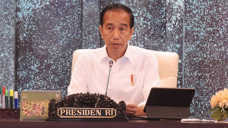 Jokowi: Investasi yang Masuk di IKN