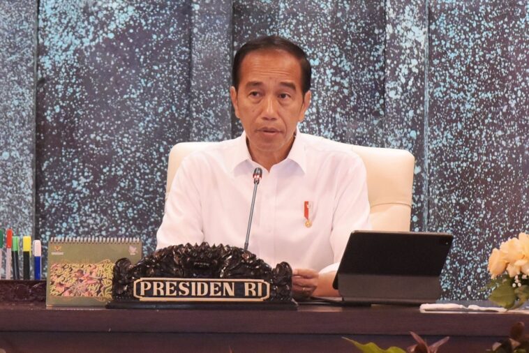 Jokowi: Investasi yang Masuk di IKN