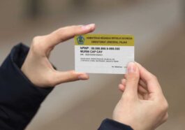 DJP Tegaskan NPWP 15 Digit Masih Bisa Digunakan
