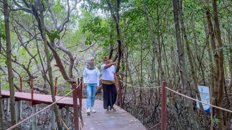 Hutan Mangrove Jerowaru