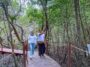 Hutan Mangrove Jerowaru