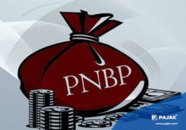 Realisasi PNBP Turun