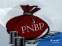 Realisasi PNBP Turun