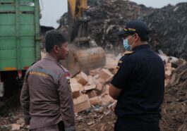 Bea Cukai Tanjung Emas Musnahkan 1.850 Karton Kepiting Impor