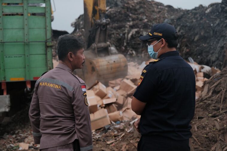 Bea Cukai Tanjung Emas Musnahkan 1.850 Karton Kepiting Impor