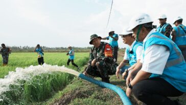 Pertanian di Merauke Kementan TNI