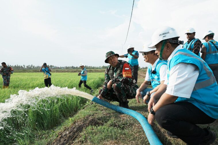 Pertanian di Merauke Kementan TNI