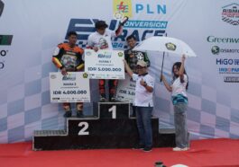 PLN dan Kementerian ESDM