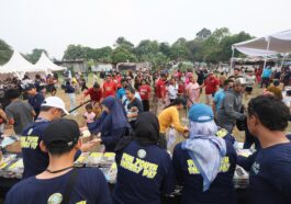 Relawan PLN
