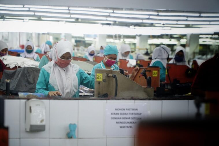 Realisasi Penerimaan Kepabeanan dan Cukai Tumbuh