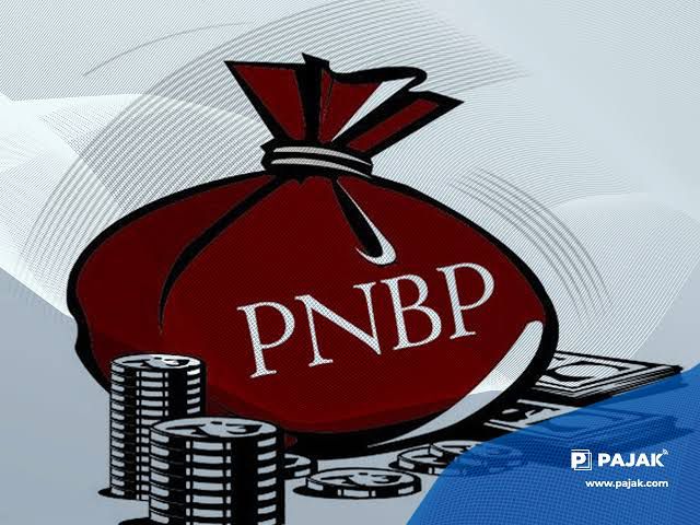 Realisasi PNBP Oktober 2024