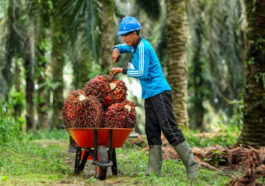 Dokumen Persyaratan Pendaftaran Objek PBB