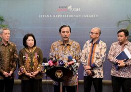 Luhut dan DPR Sepakat PPN 12 Persen