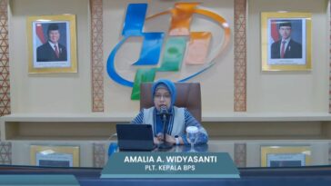BPS: Inflasi November 2024