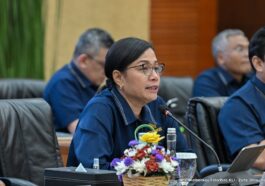 Sri Mulyani: Aspirasi PPN 12 Persen