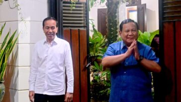ppn 12 persen jokowi