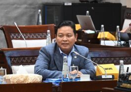 DPR: Kebijakan Stimulus PPN