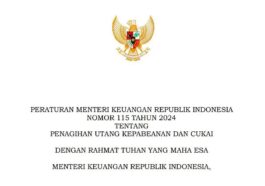 PMK 115/2024