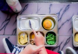 Celios Pemerintah Tak Impor untuk Program Makan Bergizi Gratis