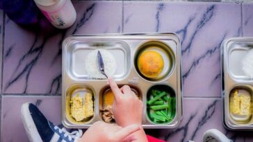Celios Pemerintah Tak Impor untuk Program Makan Bergizi Gratis