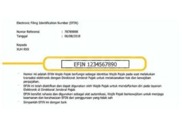 Aktivasi dan Lupa EFIN