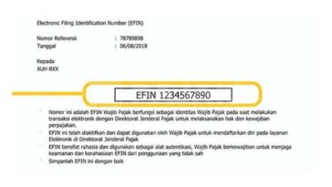 Aktivasi dan Lupa EFIN