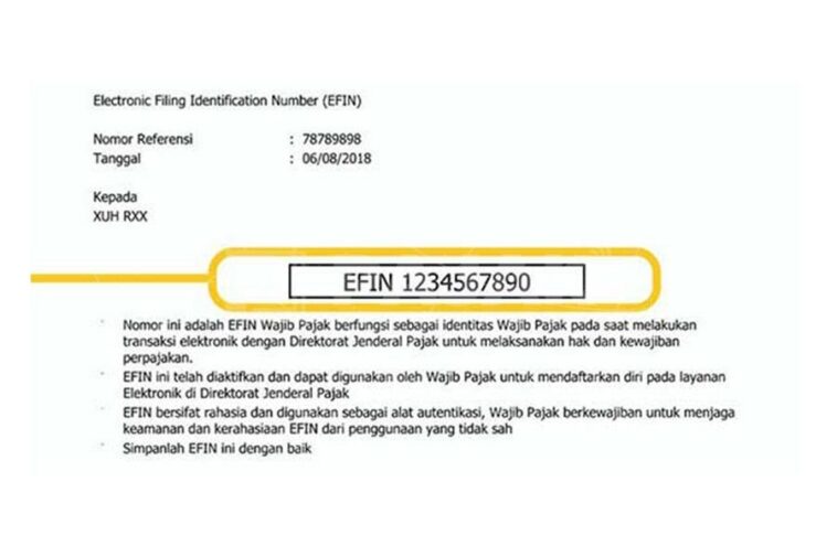 Aktivasi dan Lupa EFIN