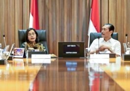 Sri Mulyani DJP Core Tax