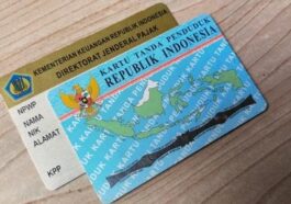 NPWP dan PKP