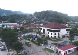 Penerimaan Pajak Januari 2025 Papua