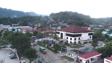 Penerimaan Pajak Januari 2025 Papua