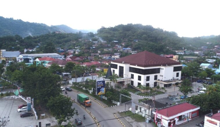 Penerimaan Pajak Januari 2025 Papua