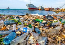 Pajak atas Penggunaan Plastik