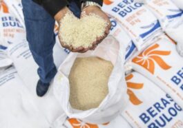 Harga Beras Naik