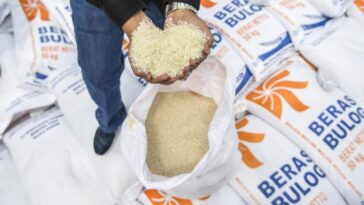 Harga Beras Naik
