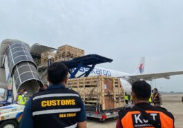 Pemerintah Impor 834 Bibit Domba