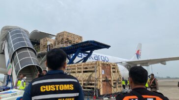Pemerintah Impor 834 Bibit Domba