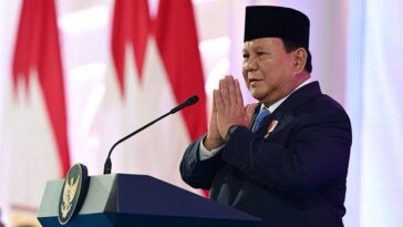 BUMN Danantara