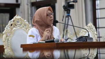 Program Pemutihan PBB