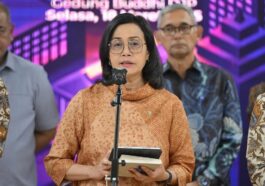 sri mulyani core tax