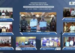 DJP Pemda