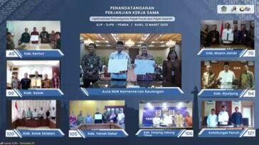 DJP Pemda