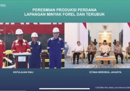 Presiden Prabowo Proyek Migas
