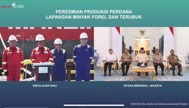 Presiden Prabowo Proyek Migas