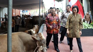 Jual - Beli Hewan Iduladha