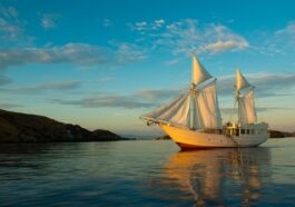 Kapal Wisata Asing