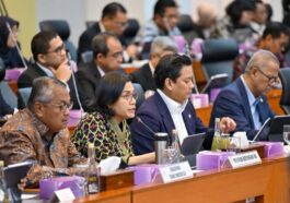 Sri Mulyani Strategi Mitigasi