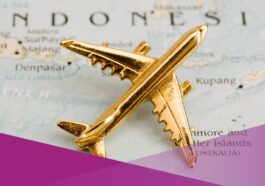 Kanwil DJP Papabrama Diskon PPN Tiket Pesawat